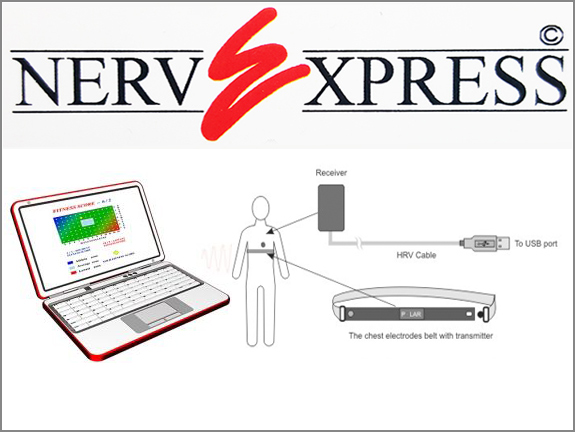 Nerve Express